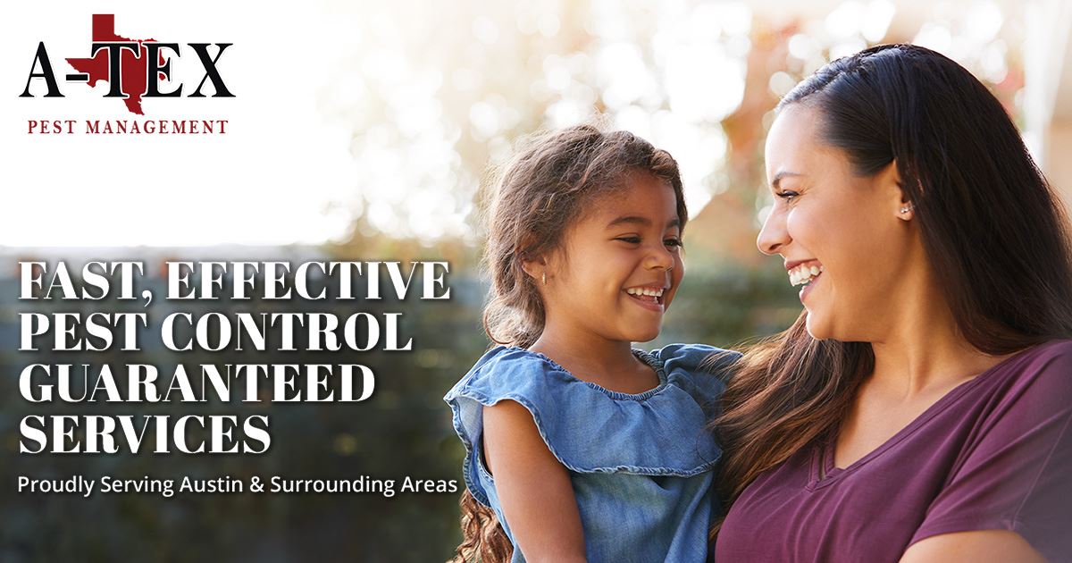 August 2024 Blogs Austin Pest Control