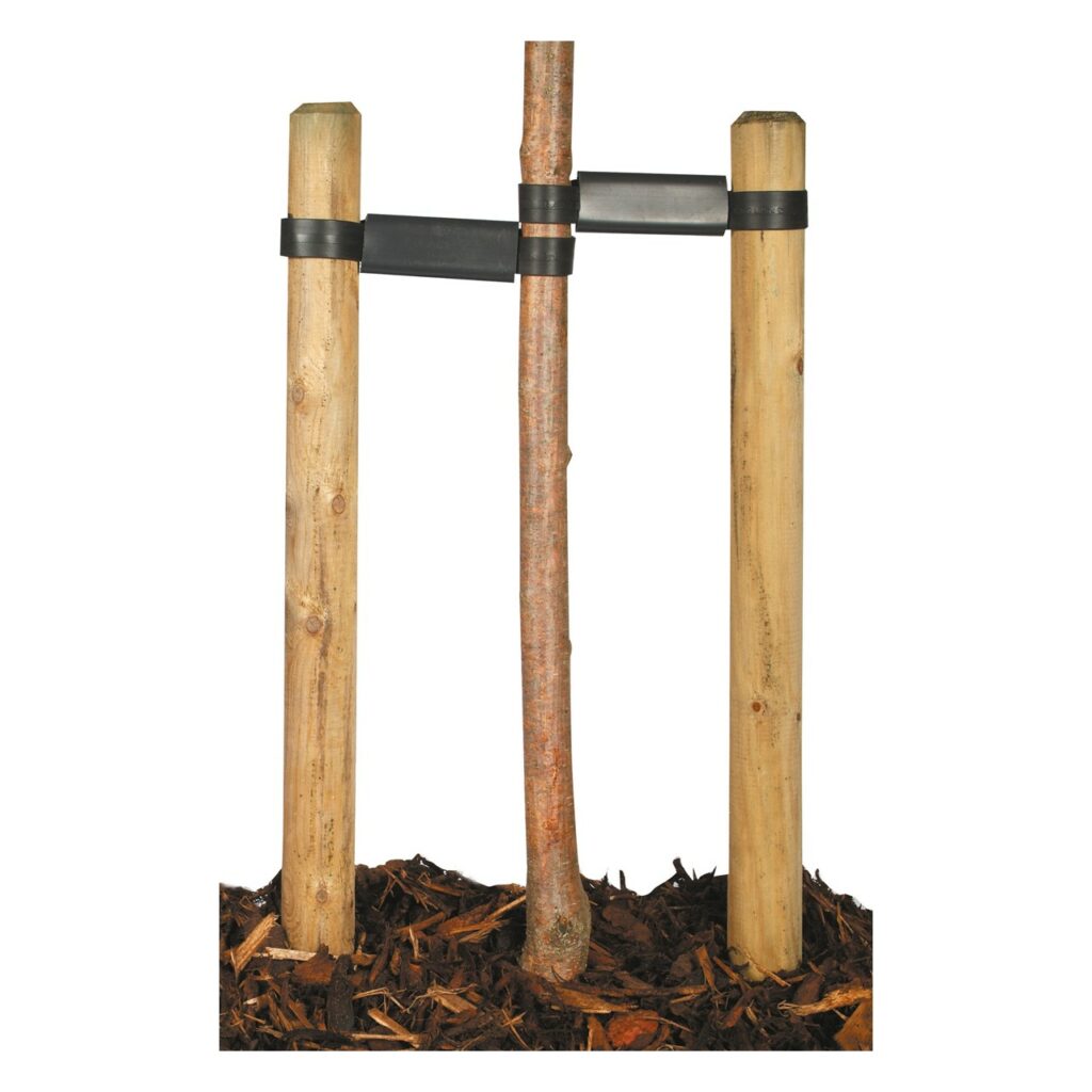 Multi Stake Tree Support ATF Supplies