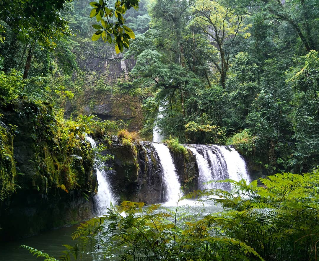 August Impressions of the Atherton Tablelands Atherton Tablelands