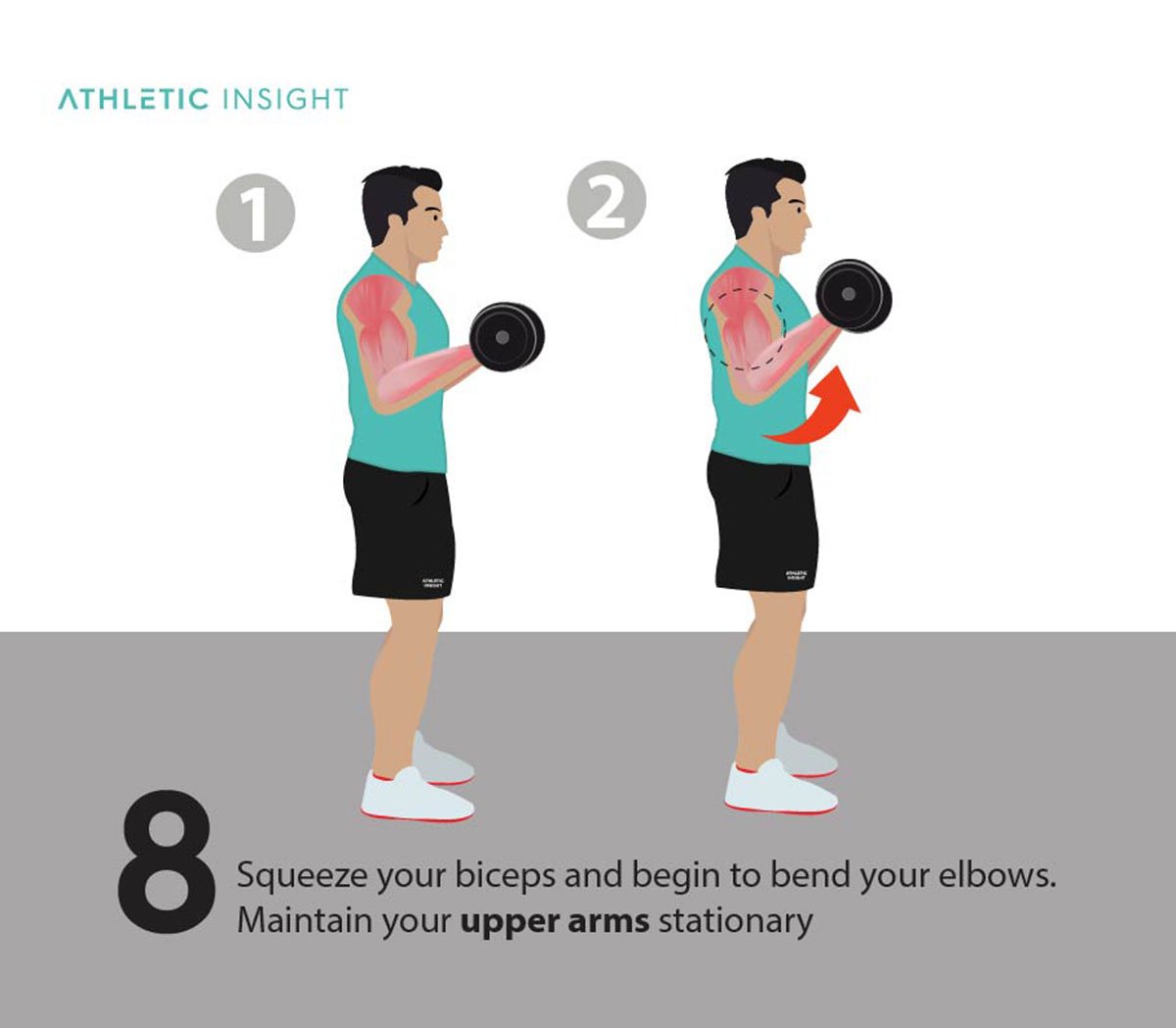 How to do Dumbbell Curl Variations, Proper Form, Techniques, Dumbbell