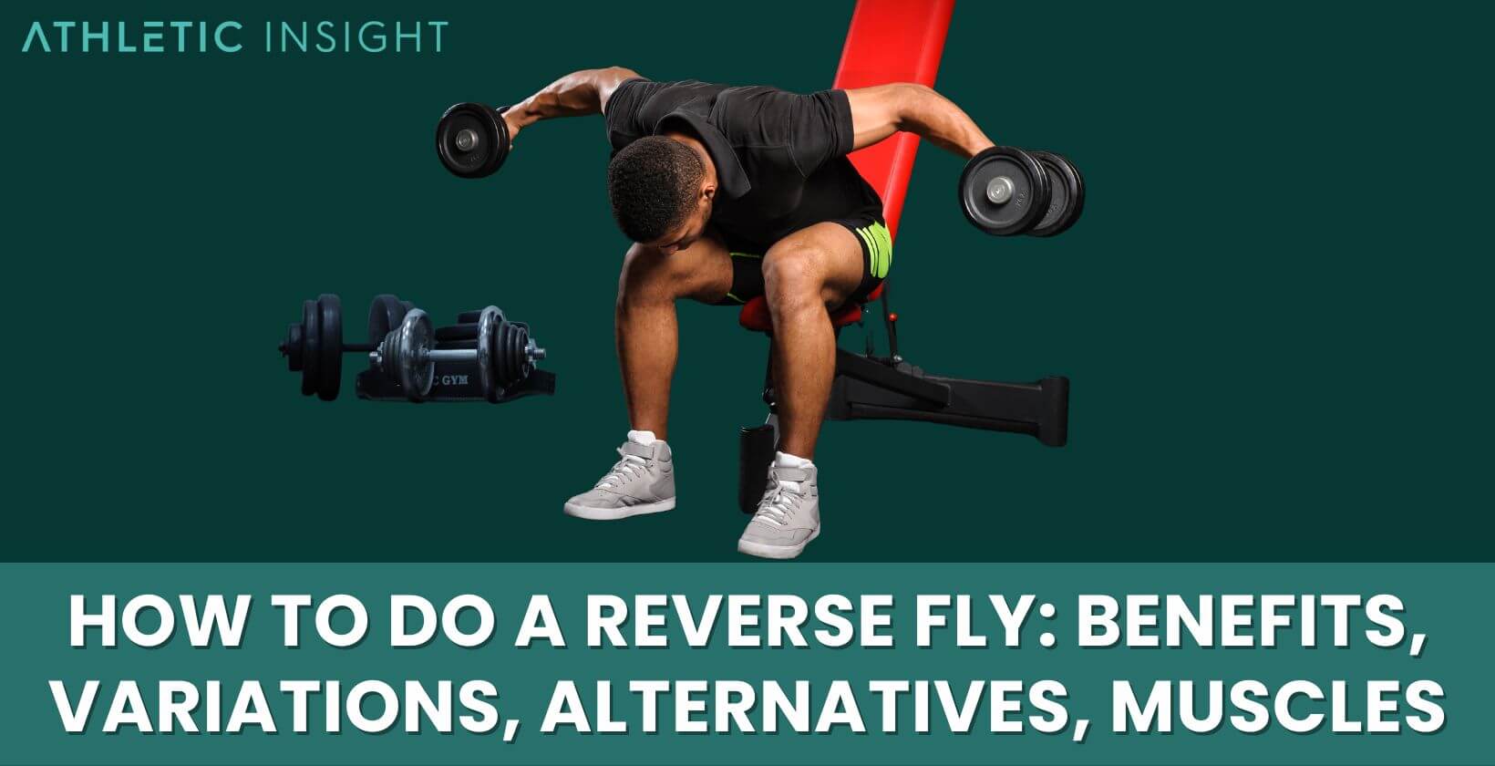 How to do a Reverse Fly Benefits, Variations, Alternatives, Muscles