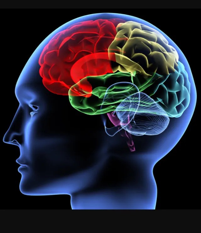 Motor Learning Part 2 The Impact of Feedback by Alex Penner