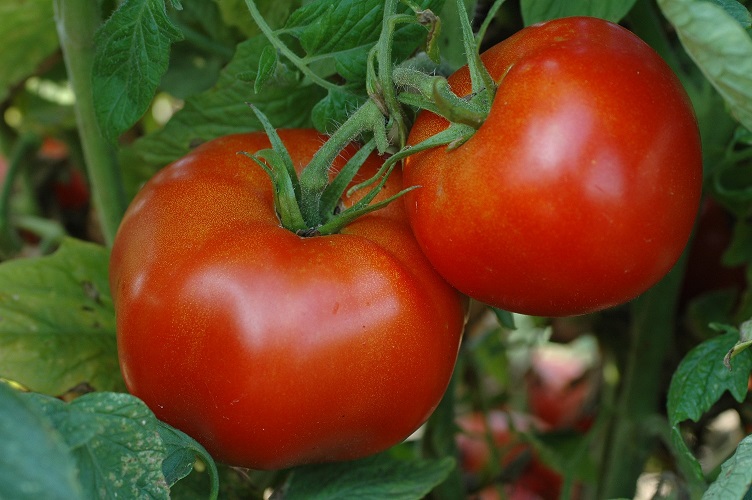 Kimberly L. Jackson New Jersey Gardens New Jersey Time to start