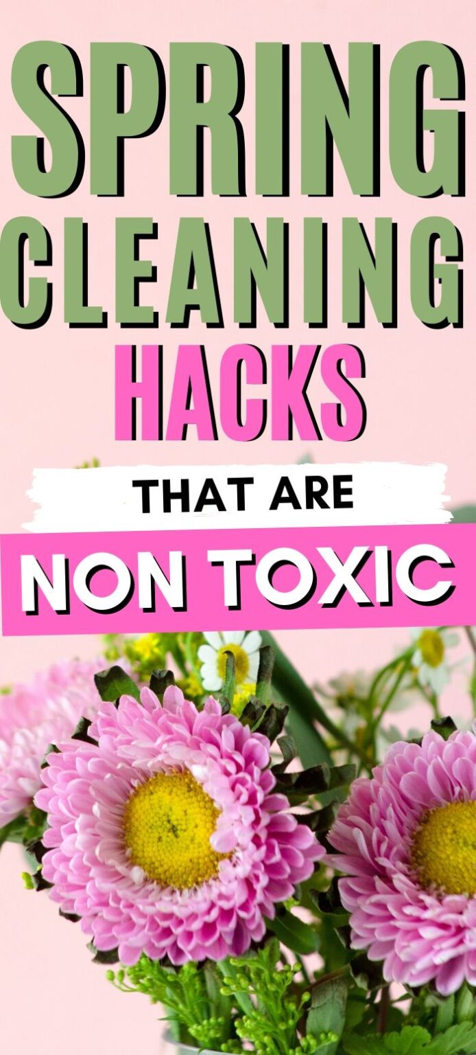 Green Spring Cleaning Tips At Home With Holly