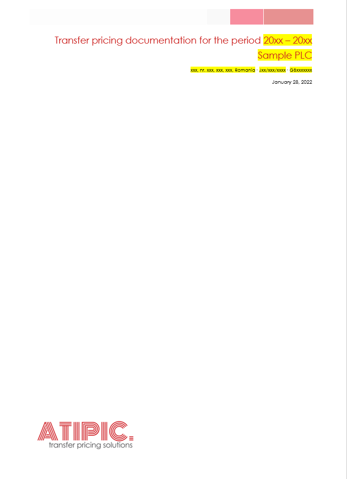 Transfer pricing template / example documentation