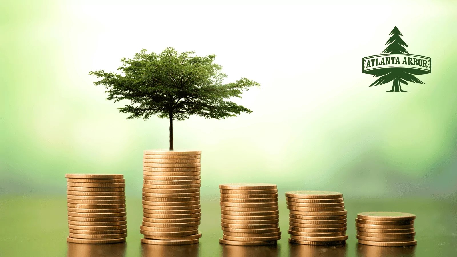 Cost Of Tree Removal: Prices In Georgia | Atlanta Arbor