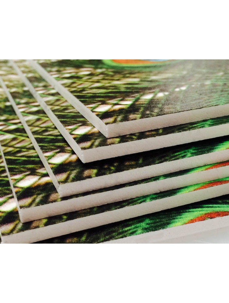 36 x 48 Print on 3mm PVC Plastic