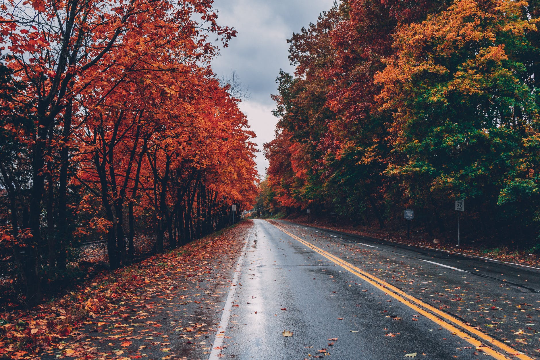 Atlanta Events Fall 2024 Fall Journey to Atlanta Places to Visit in the Fall
