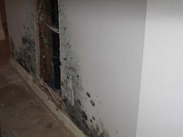 Resize Atlanta Mold Testing