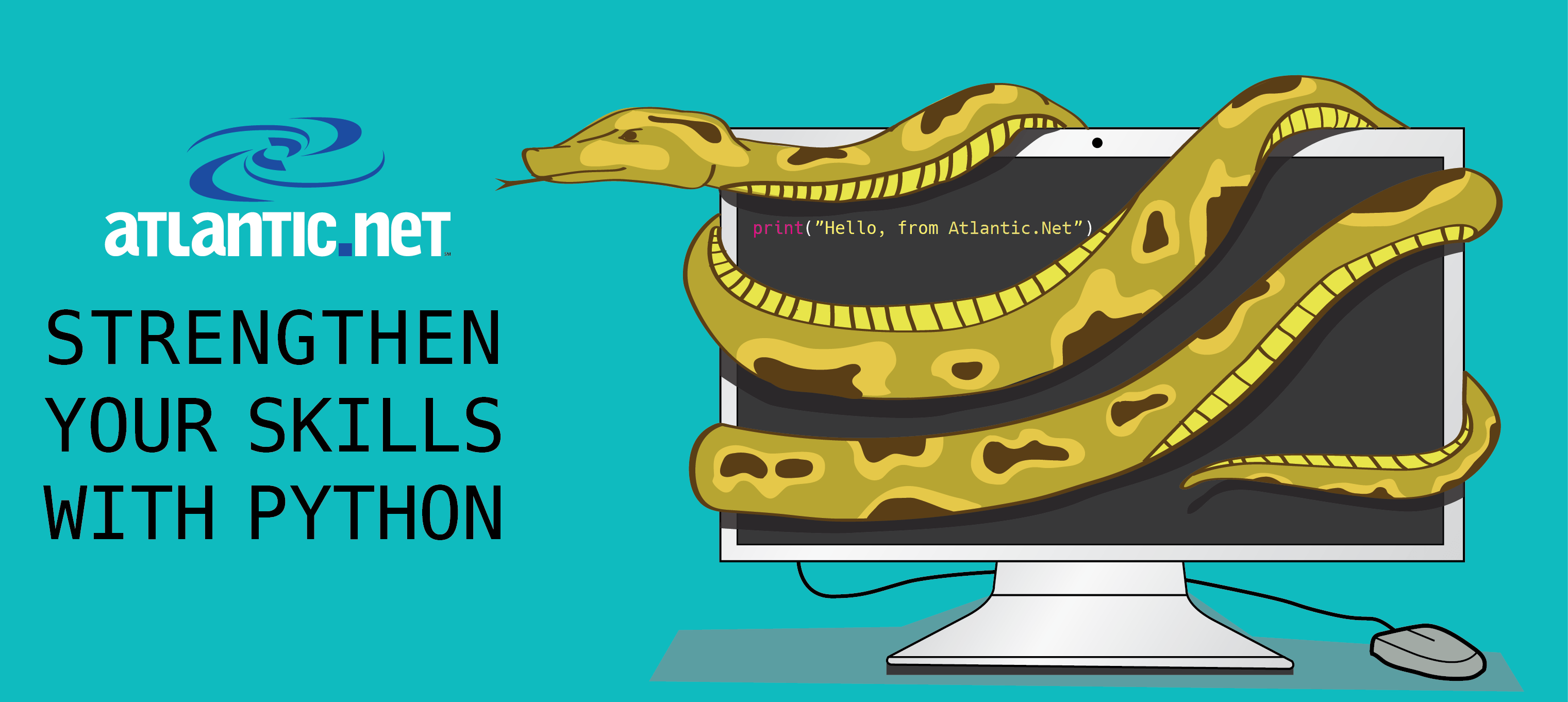What is Python An Intro to a CrossPlatform Programming Language