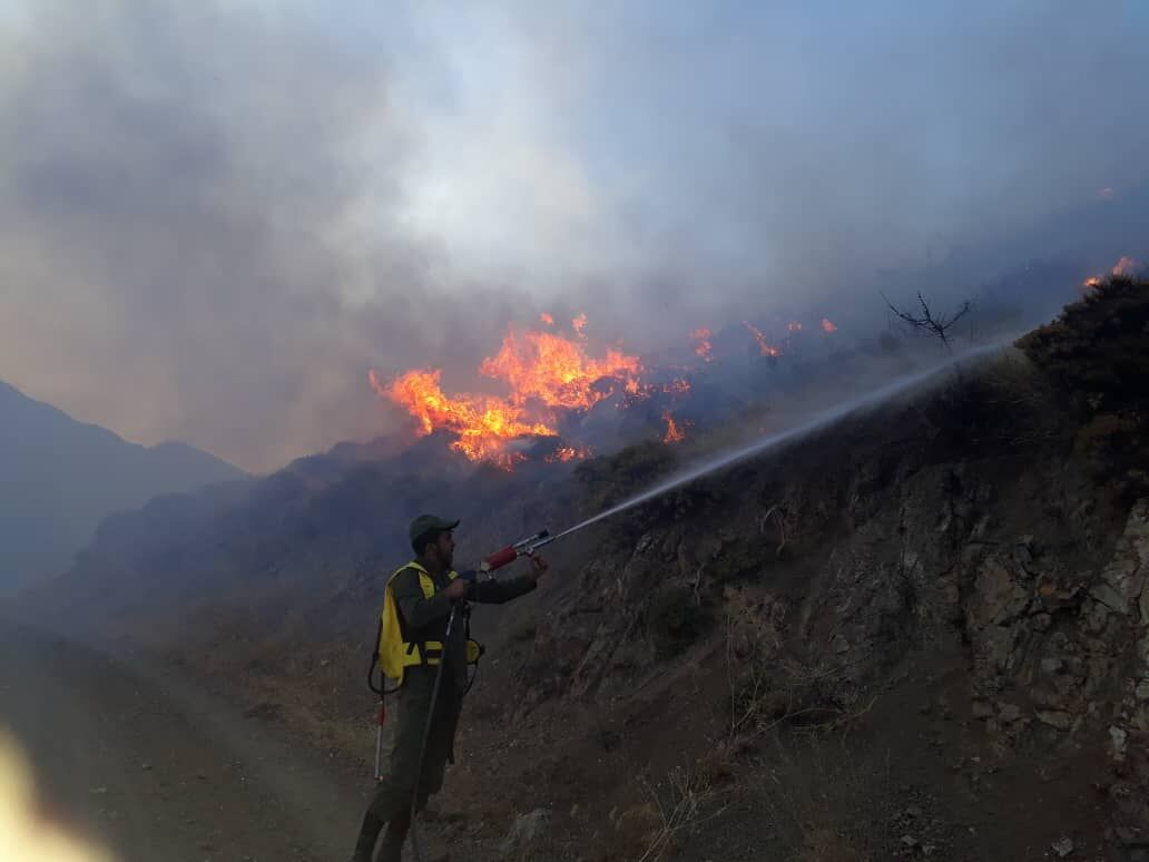 The forest fires in Iran that won’t stop burning