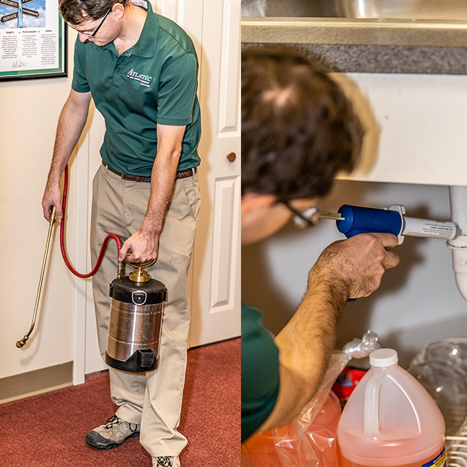 Charleston Area Pest Control, Exterminator and Bug Removal