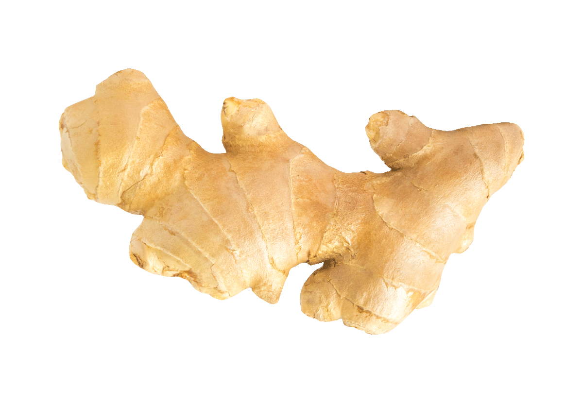 Some exclusions apply