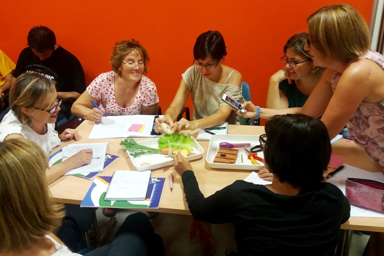 Corsi Di Formazione Per Insegnanti, Scuola Infanzia, Primaria Secondaria I E Ii Grado 512_x_768_jpg