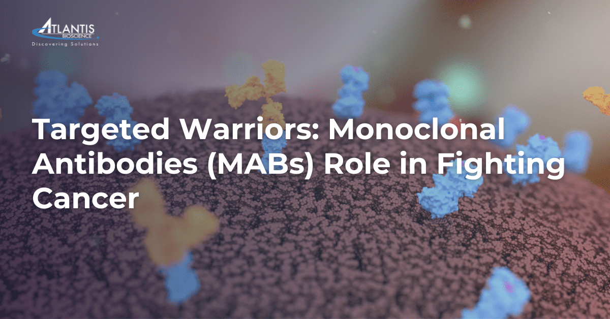 Targeted Warriors How Monoclonal Antibodies Fight Cancer
