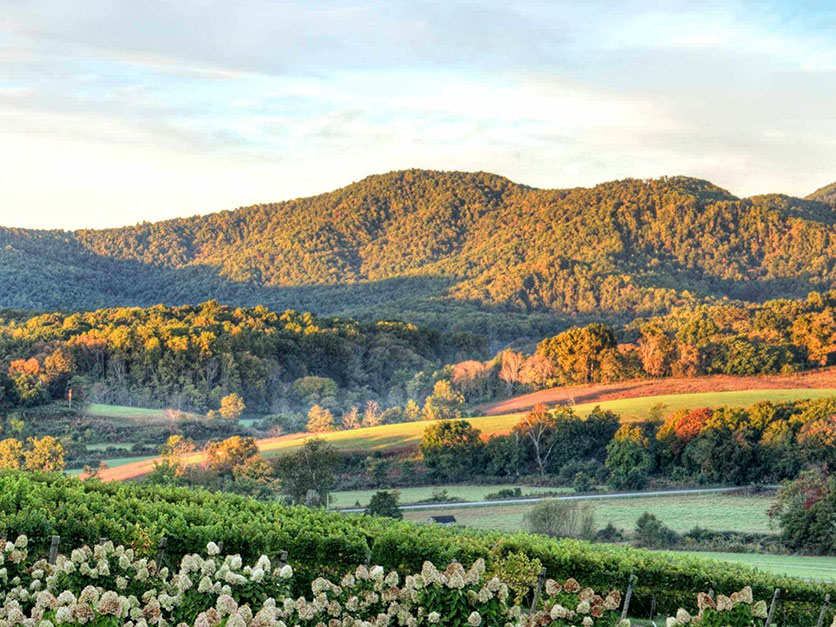 Atoka Conservation Exchange