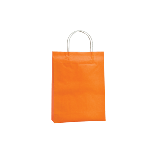 Orange Kraft Paper Bags Medium