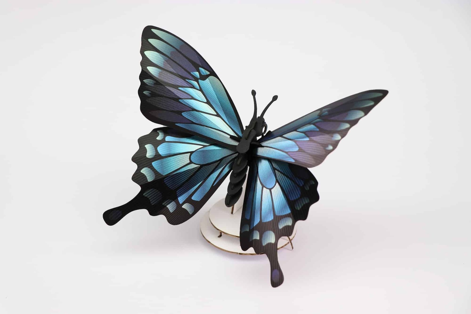 Assembli 3D Insect Blue Mountain Butterfly