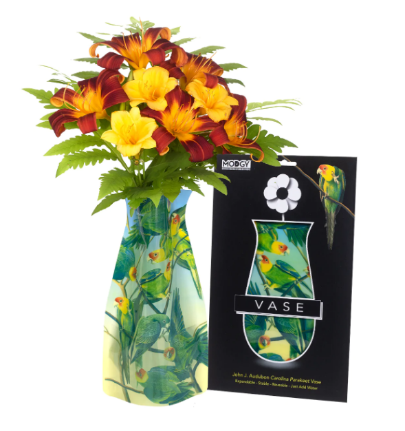 Modgy Expandable Flower Vase Audubon Carolina Parakeet