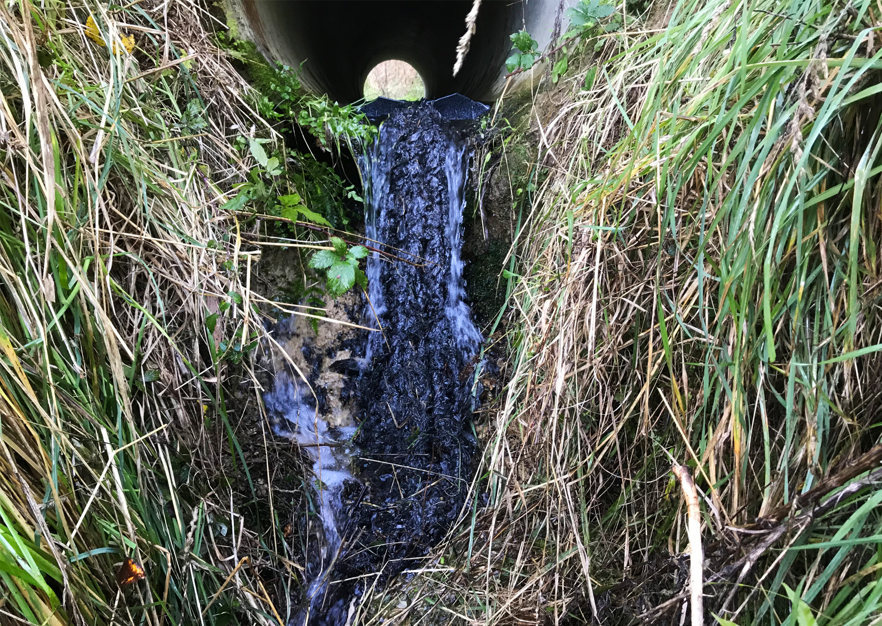 Mussel Ropes • ATS Environmental