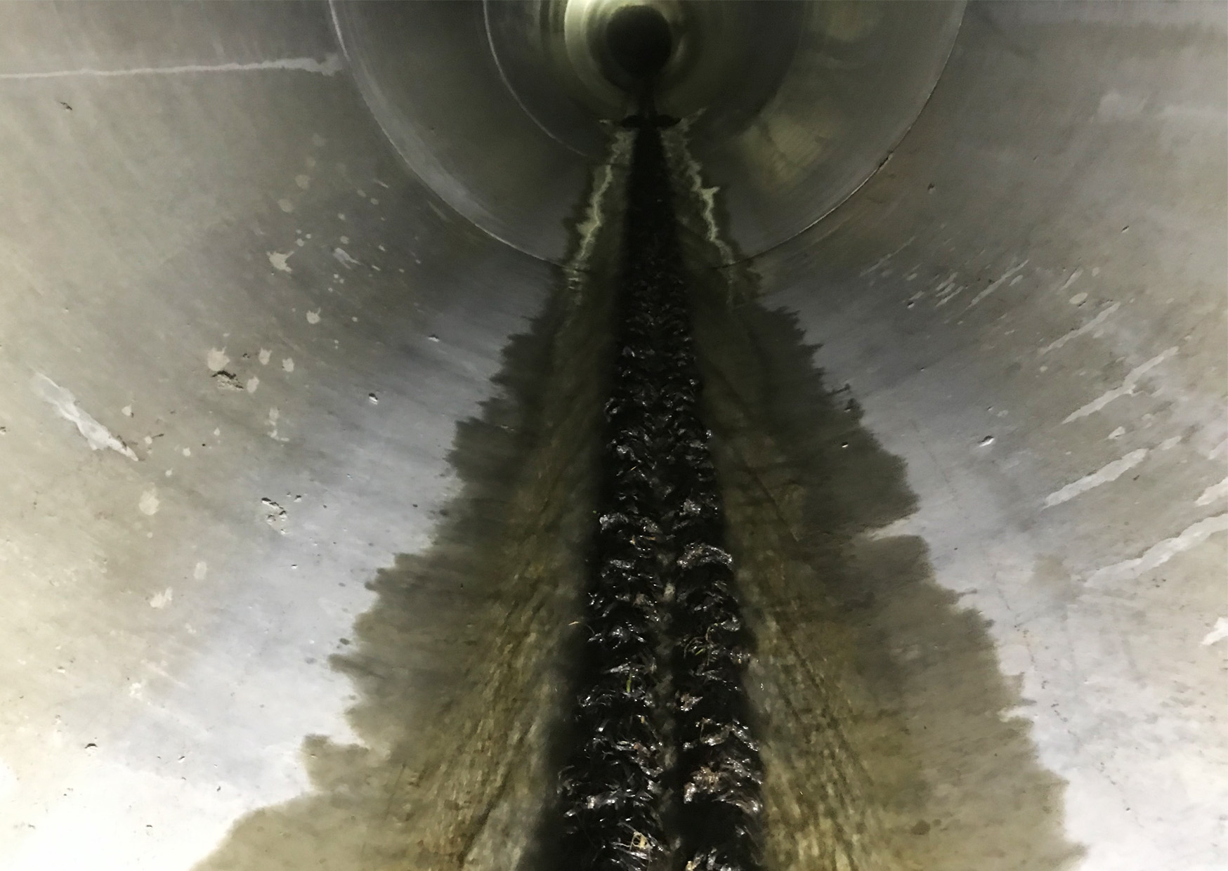 Mussel Ropes • ATS Environmental