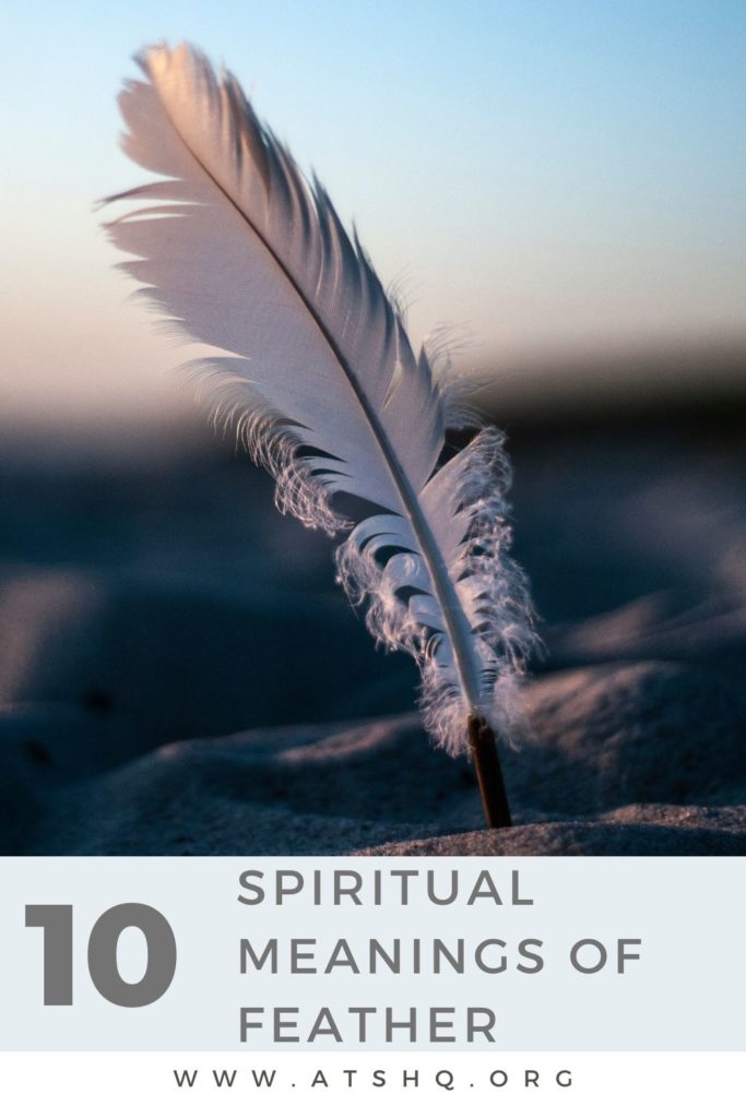 Feather Symbolism 10 Spiritual Meanings Of Feather