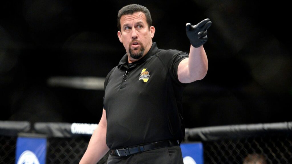10 of the Best Referees in MMA Attack The Back