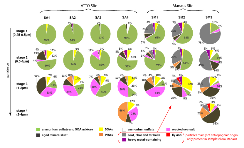 Amazon air pollution ATTO Amazon Tall Tower Observatory