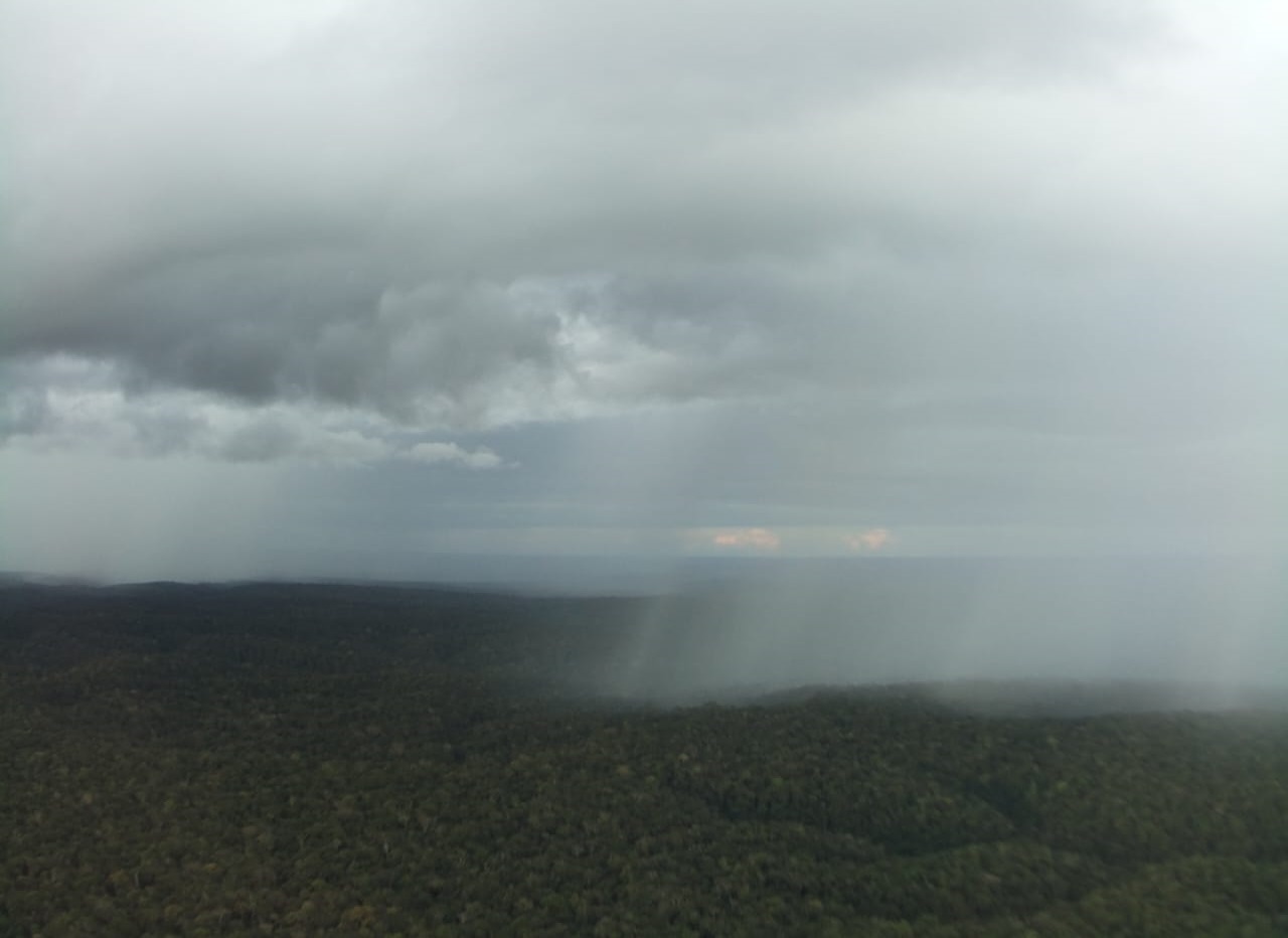 Stability regimes above and within the rainforest canopy ATTO
