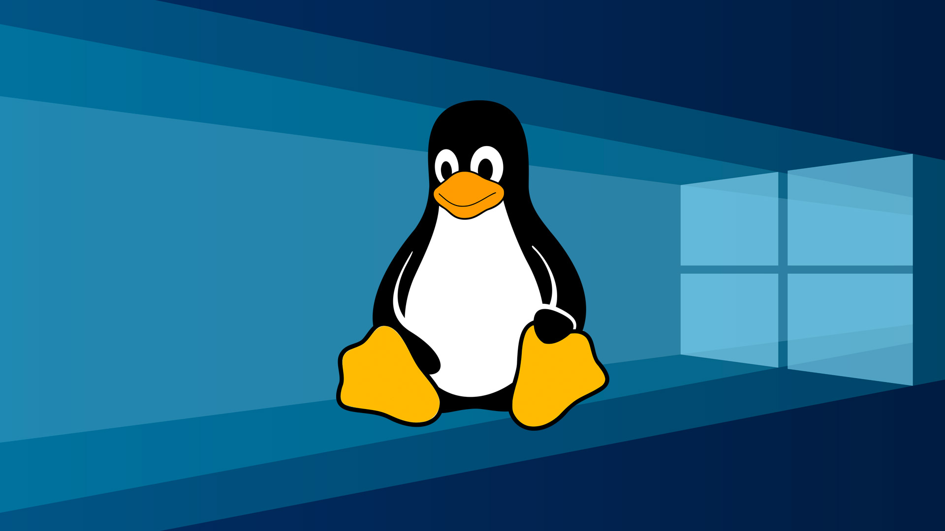 Easy Steps to Install and Use Linux on a Windows • AtulHost