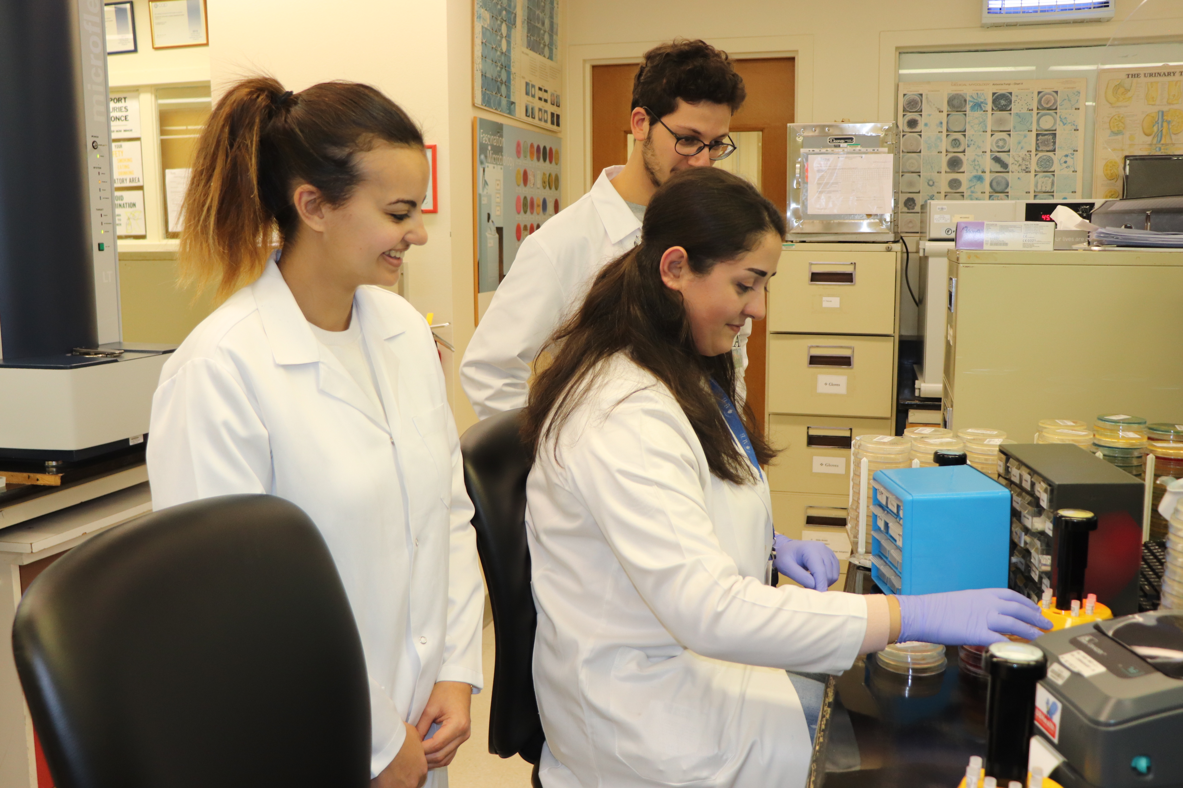 Bachelor of Science in Medical Laboratory Sciences