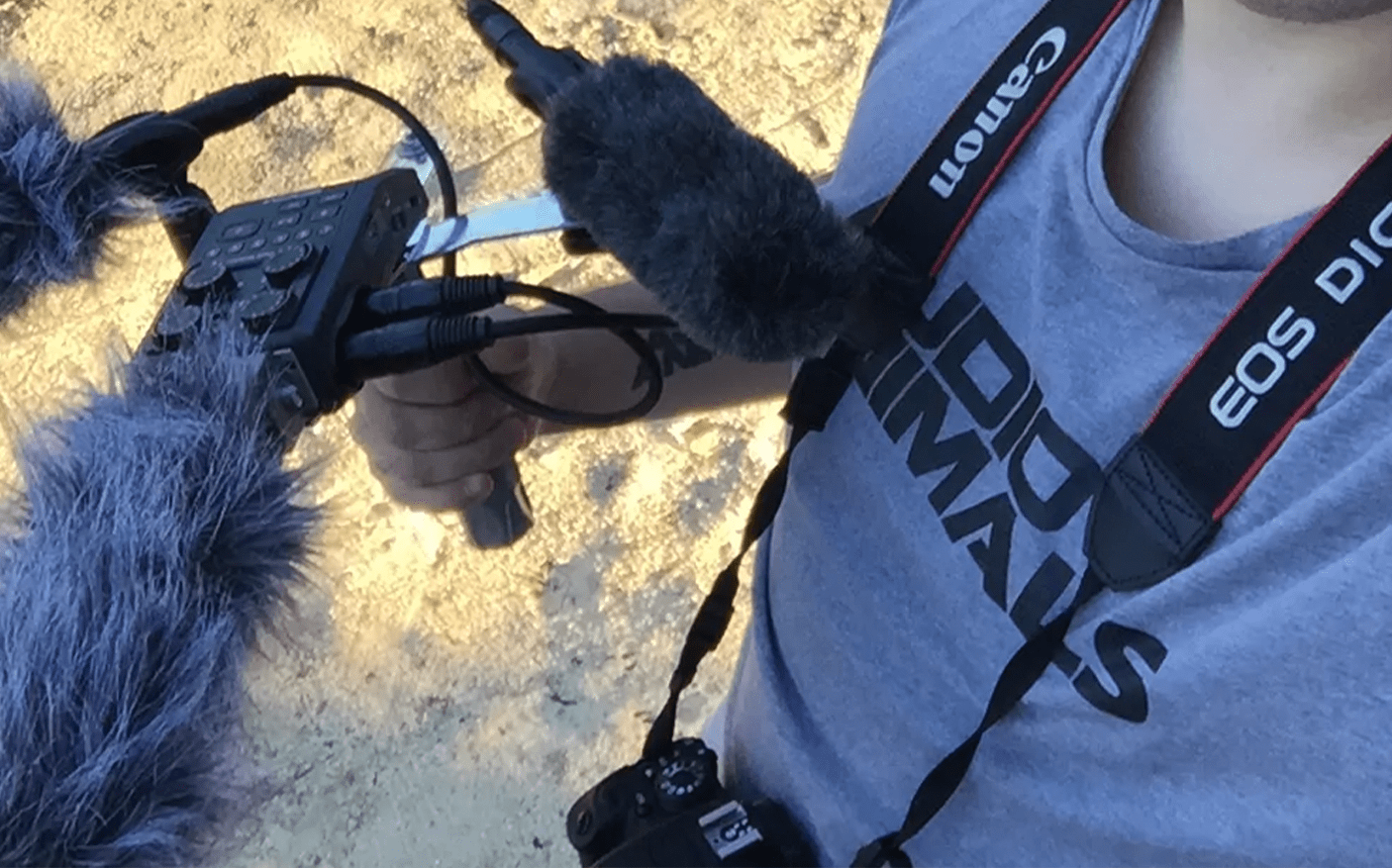 Field Recording Equipment Audio Animals Ltd.