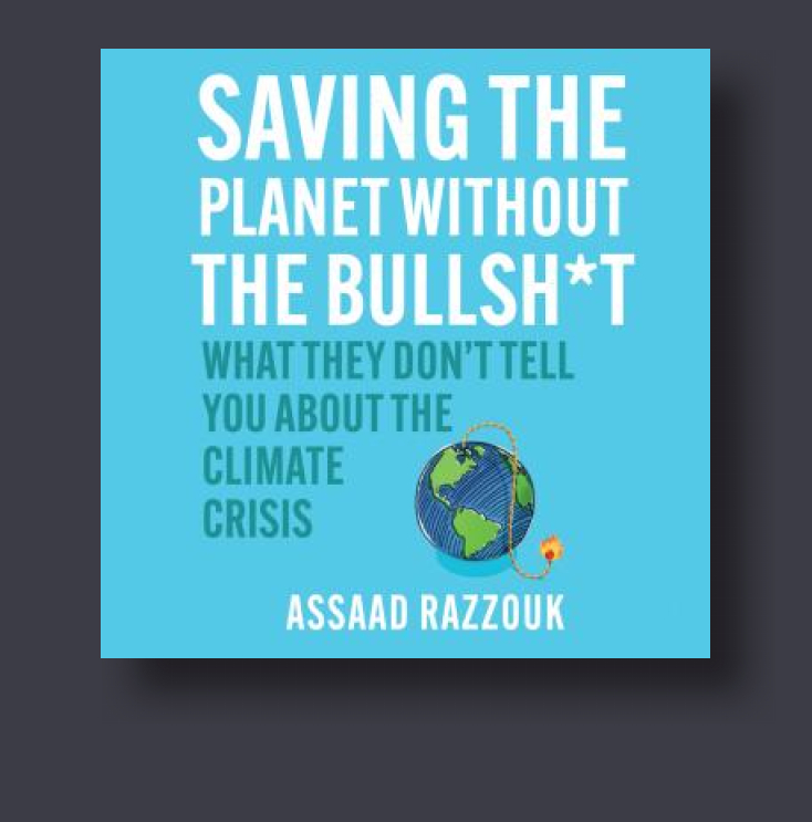 Saving the Without the Bullshit What They Don’t Tell You About