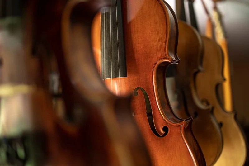 What Are The Top Violin Brands On The Market? » Audio Listed