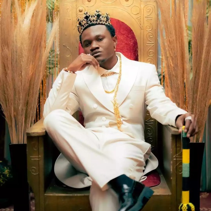 Nyimbo Mpya za Mbosso Songs MP3 Download Mbosso net worth 2022