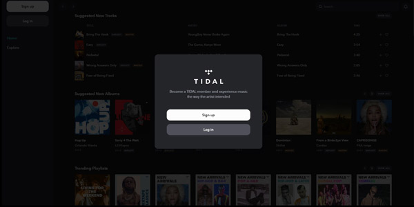 [Tidal Web Player] Everything You Need to Know