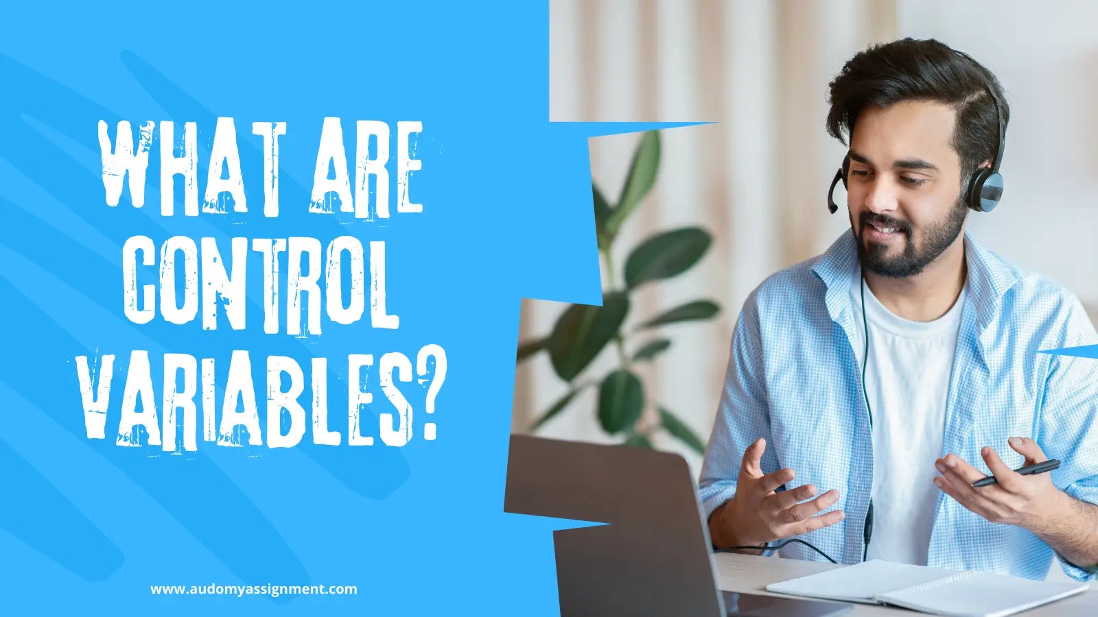 What are Control Variables? Its Types & Examples