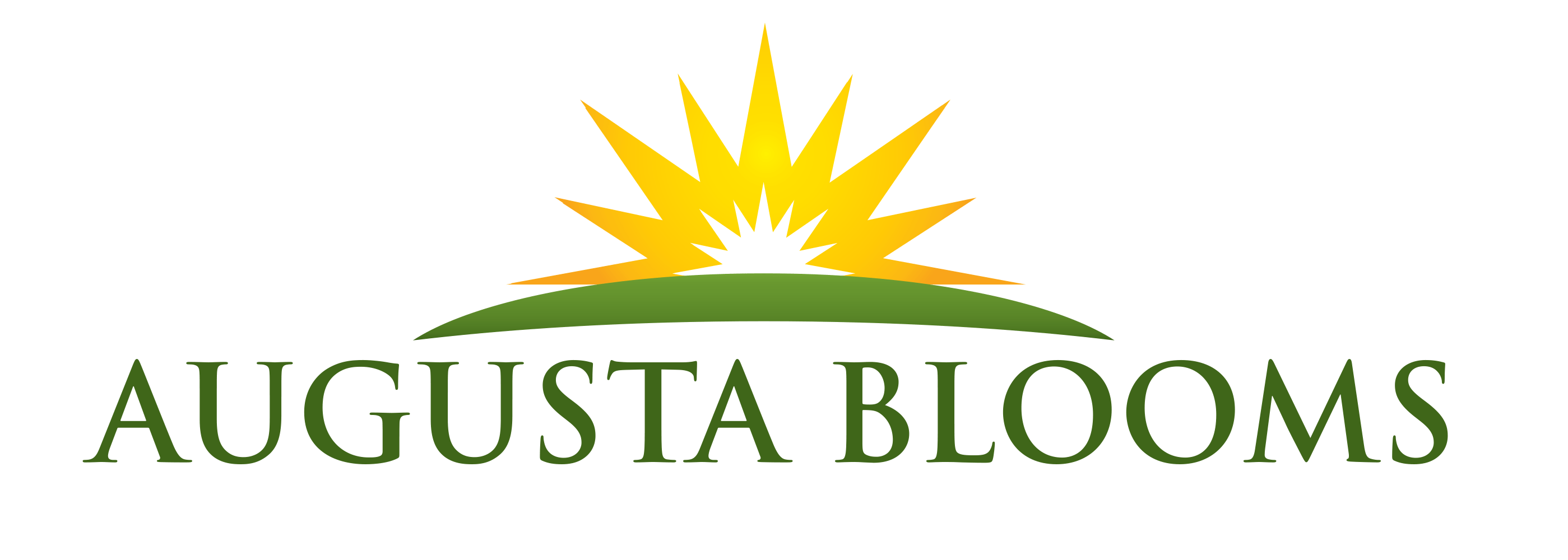 Augusta Blooms Landscaping