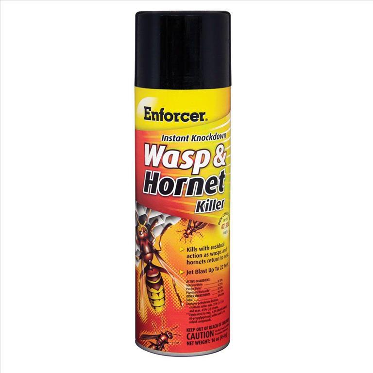 Enforcer, Wasp & Spray, 16 oz. Augusta Cooperative Farm Bureau