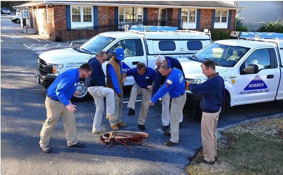 Pest Control Worker Registered Apprenticeship