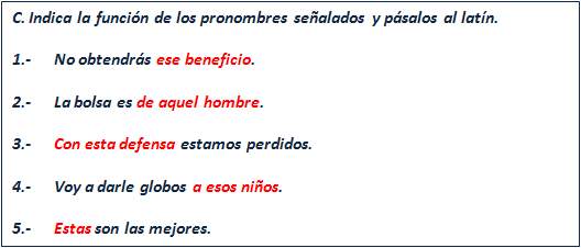 🥇 【 Los pronombres demostrativos Ejercicios de Latín