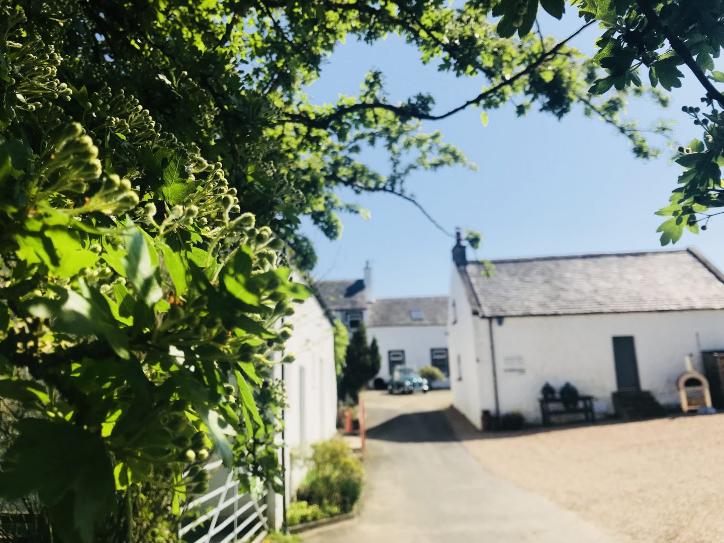 'Wood Burning Stove Ban' The Truth! Auldton Stoves