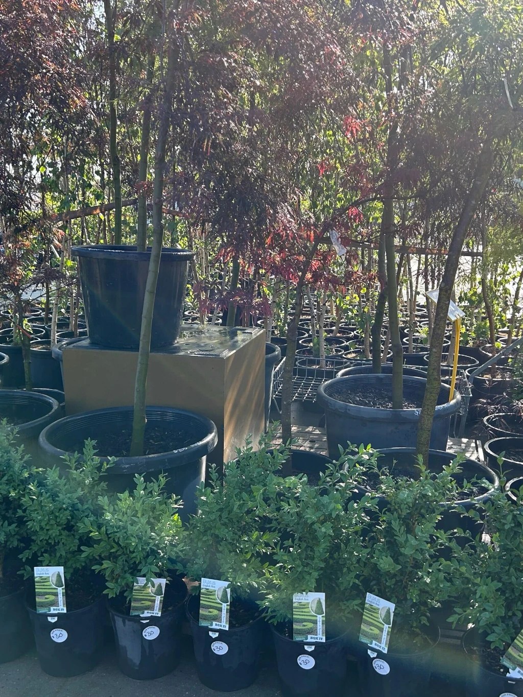 Spring At Aumann's Aumanns Nursery & Garden Supplies