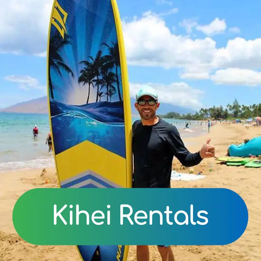 Auntie Snorkel Maui Snorkel & Beach Rentals Kihei & Lahaina