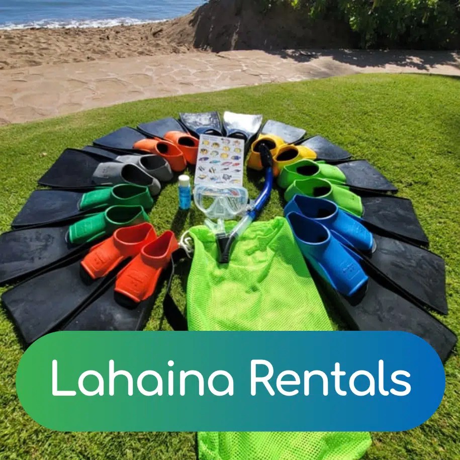 Auntie Snorkel Maui Snorkel & Beach Rentals Kihei & Lahaina