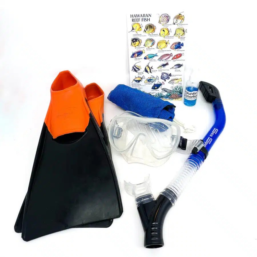 Maui Snorkel Gear Rentals Archives Auntie Snorkel