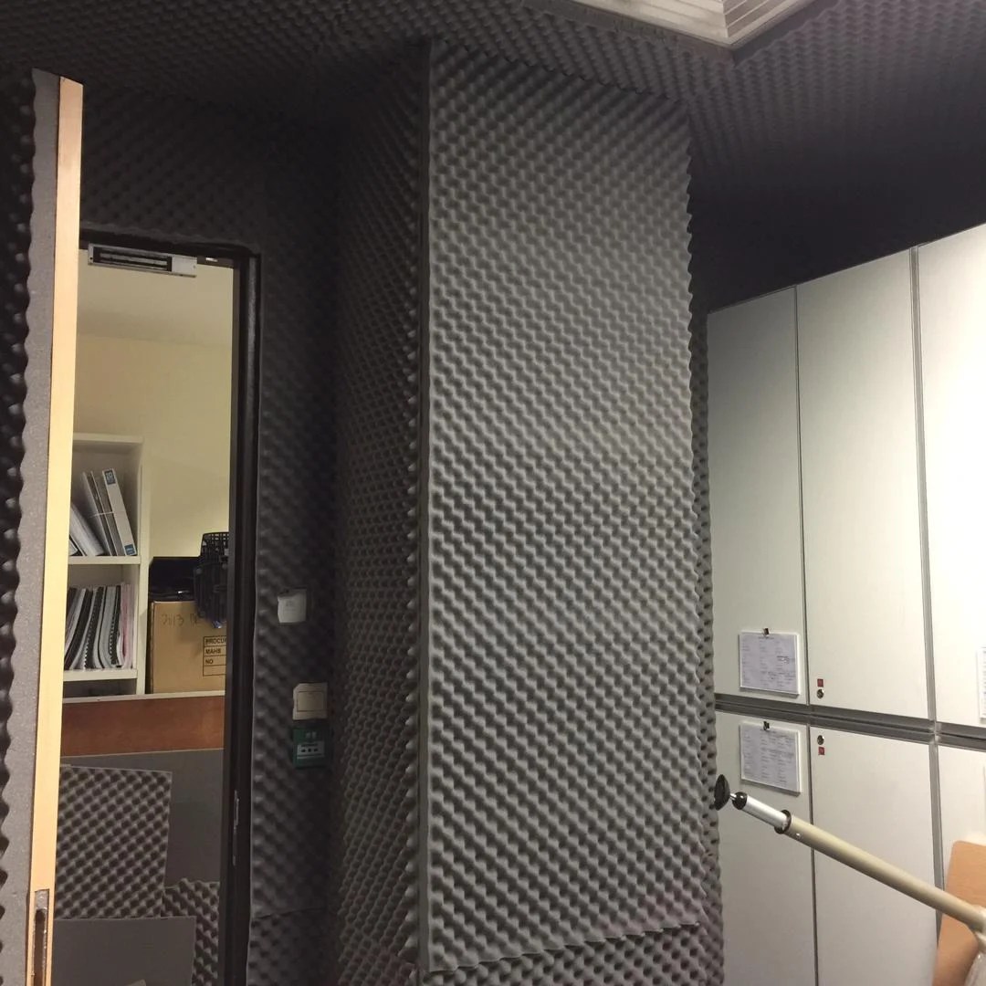 Buy NanKarrow NeoEgg™ Egg Tray Convoluted Acoustic Foam Panel in India