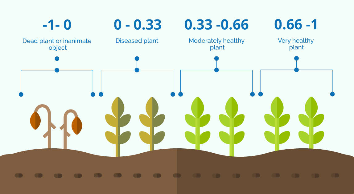 Vegetation indices and their interpretation NDVI, GNDVI, MSAVI2, NDRE
