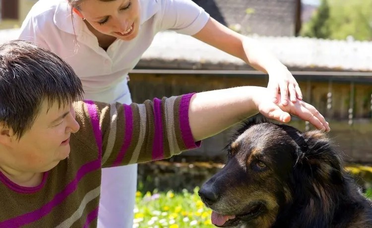 Ausbildung als Heilerziehungsassistent Infos und freie Plätze
