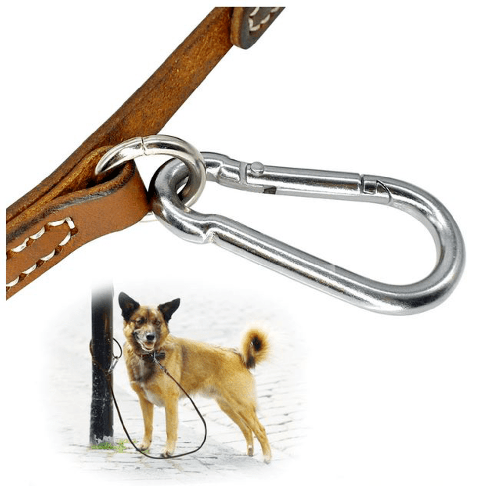 Genuine Leather Dog Leash Self Tether Clip